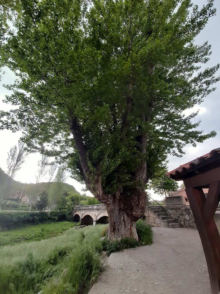 Lavadero Publico Municipal de Valverde de Miranda.