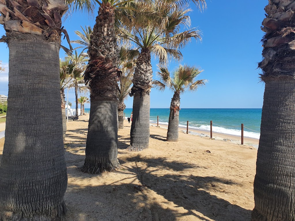 Jardin las palmeras Sonia Perez