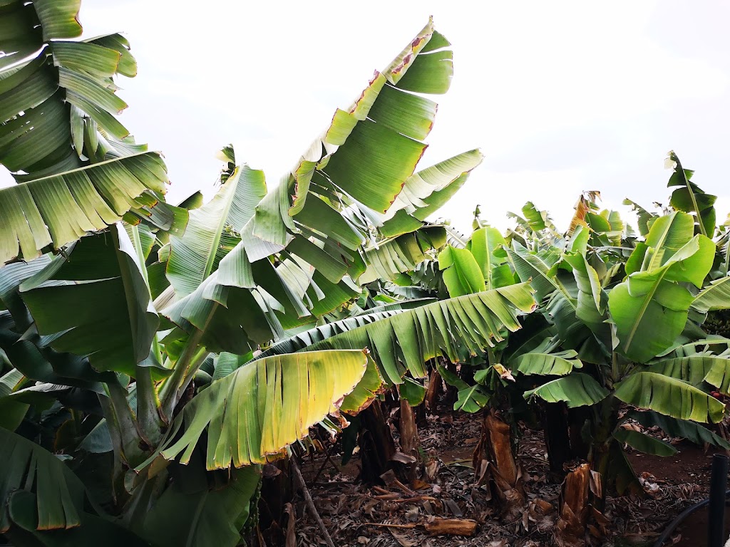Taller Hermanos Jimenez Mendoza