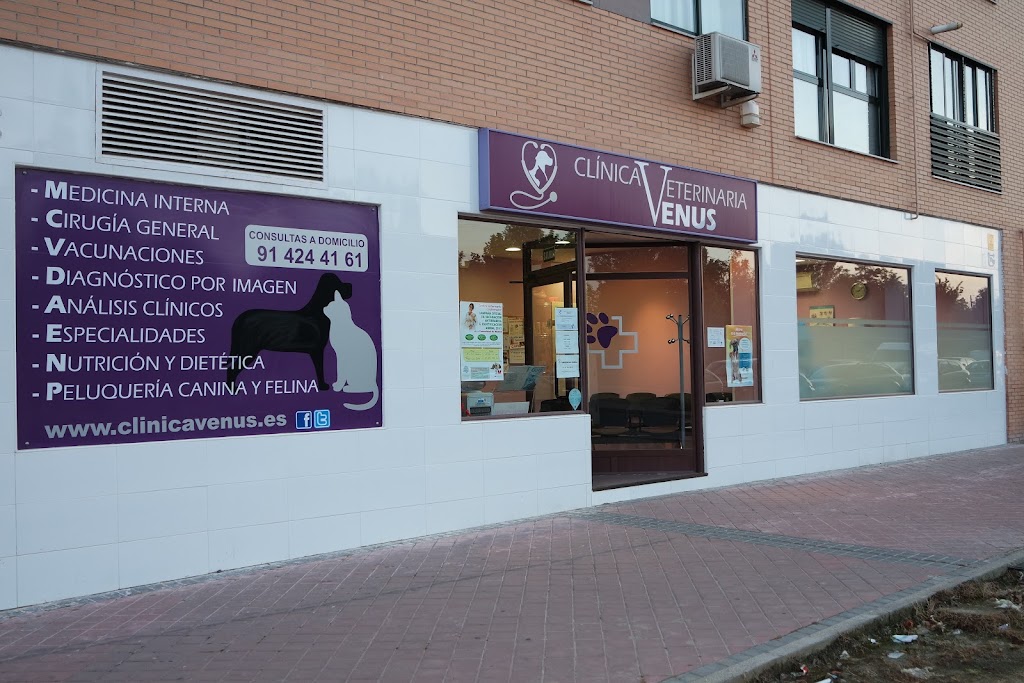 Hgvet - Clinica Veterinaria Venus — Del propietario