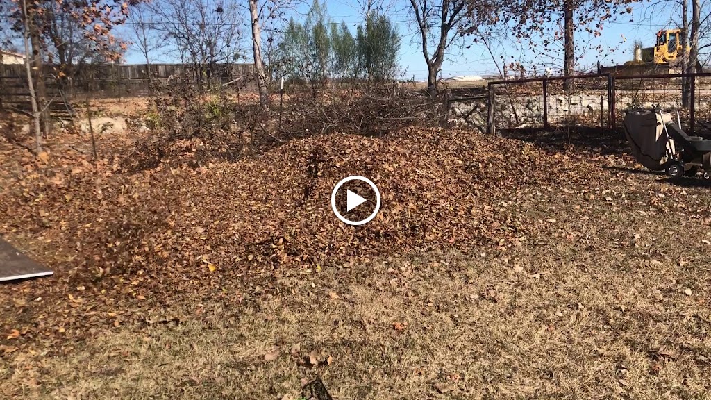 Videos