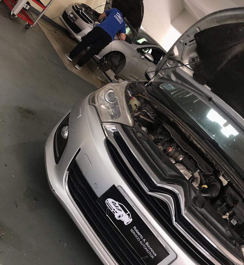 Roberto A. Bounous Servicio Automotor — Del propietario