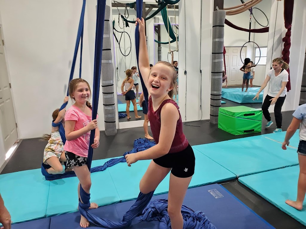  Star Academy of Dance & Aerial Arts