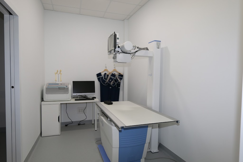 Miudino Centro Veterinario — Del propietario