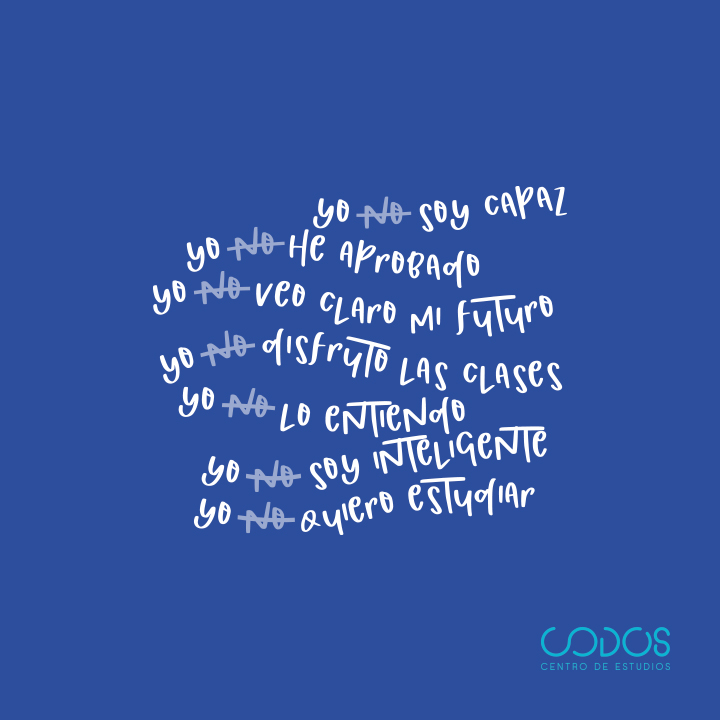 Codos Educacion — Del propietario
