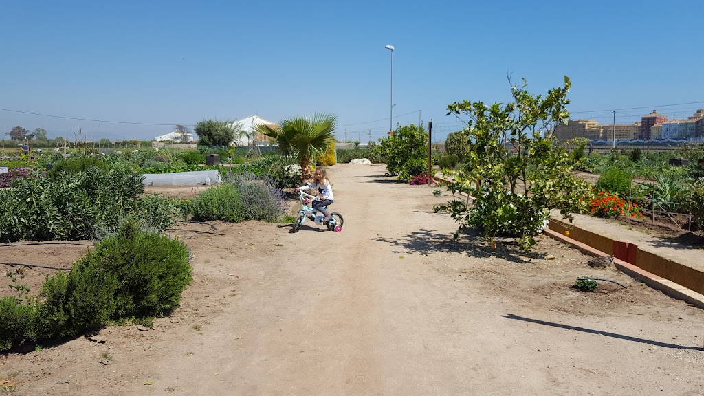 Huerta de Alboraya