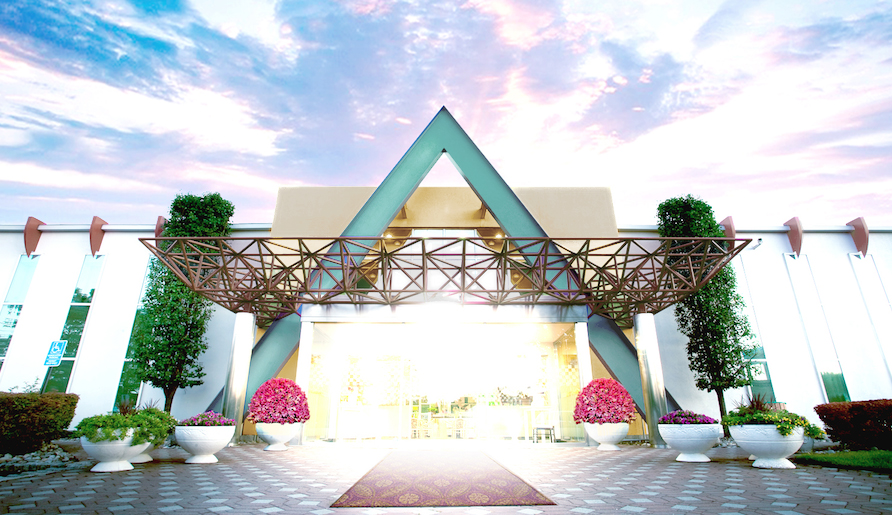  Body & Brain Yoga Tai Chi