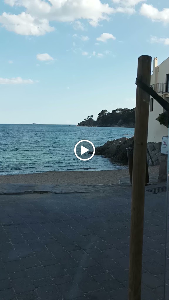 Can Palet — Videos