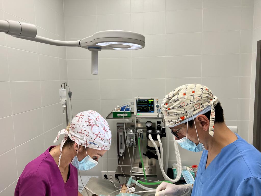 Clinica veterinaria 7 Vidas-La Nucia