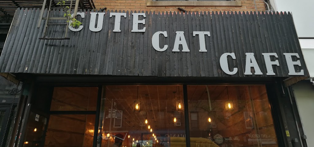 Photo of Cute Cafe