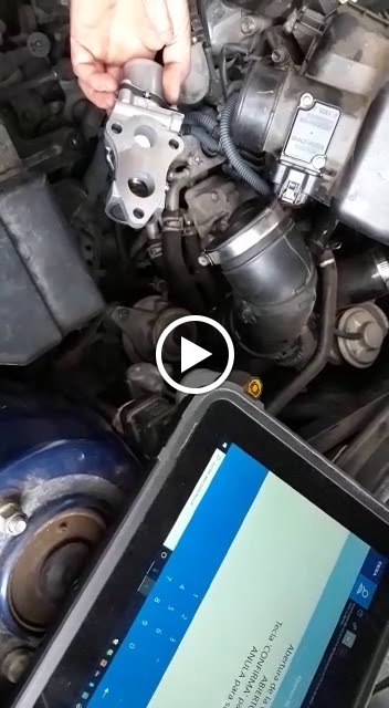 Servicar Blanes Mobil 1 center — Videos