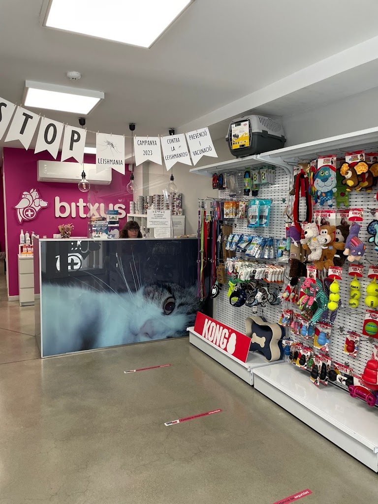 Bitxus Clinica Veterinaria — Del propietario