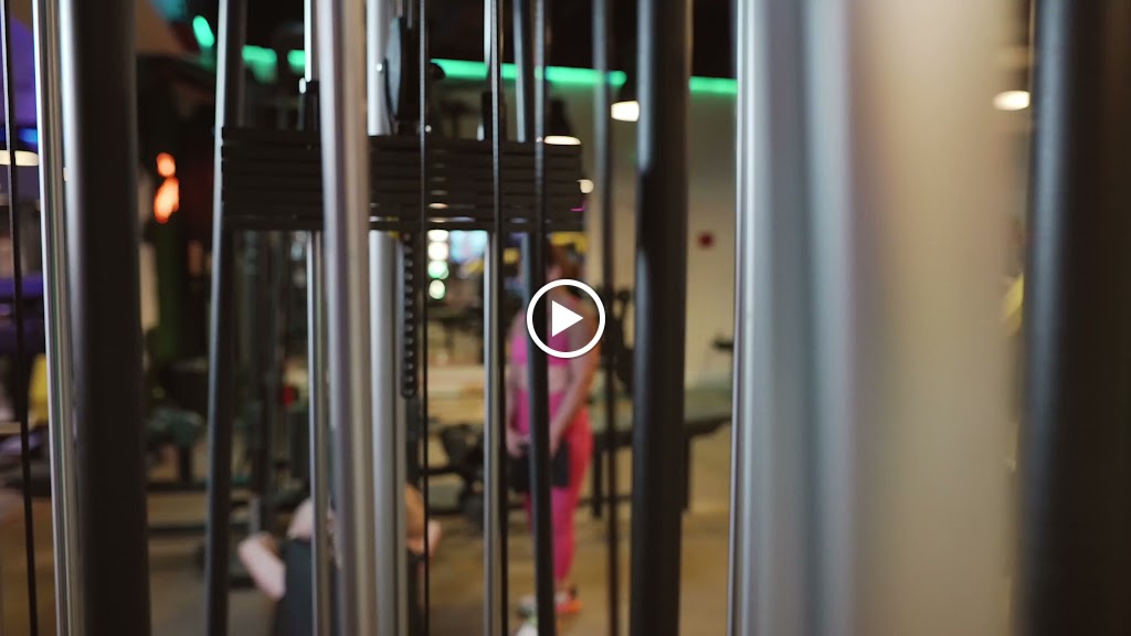  Svetlana Tsarukaeva — Elite Fitness & Kinesiology