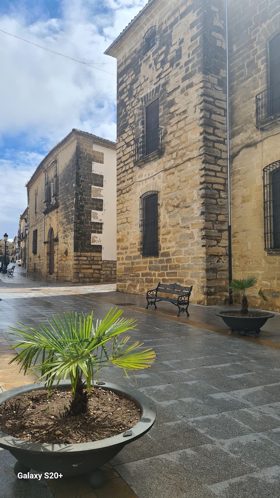 Palacio Sanchez Valenzuela