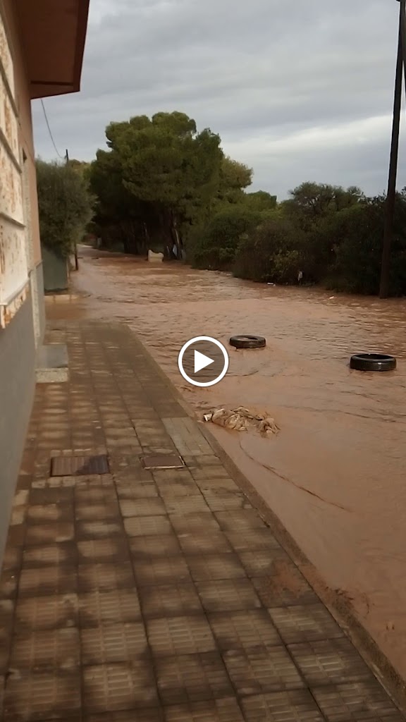 Bar Cadenas — Videos