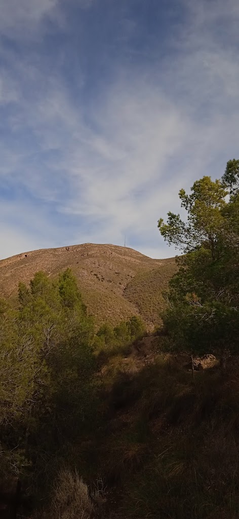 Ruta Verde final