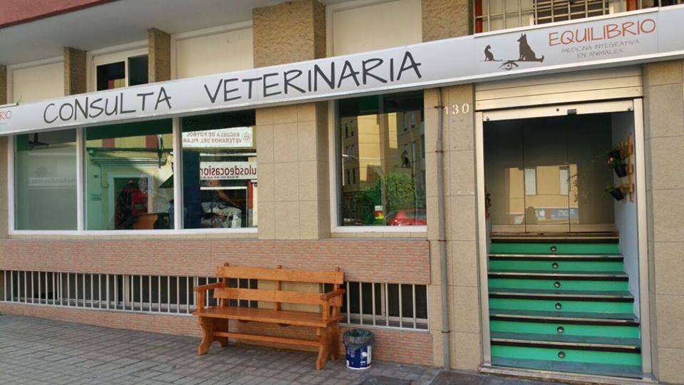 Clinica Veterinaria Equilibrio