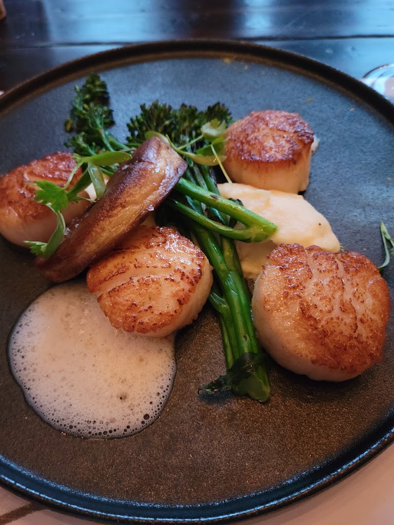 Scallops