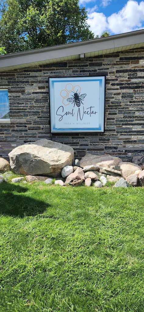  Soul Nectar Yoga + Wellness