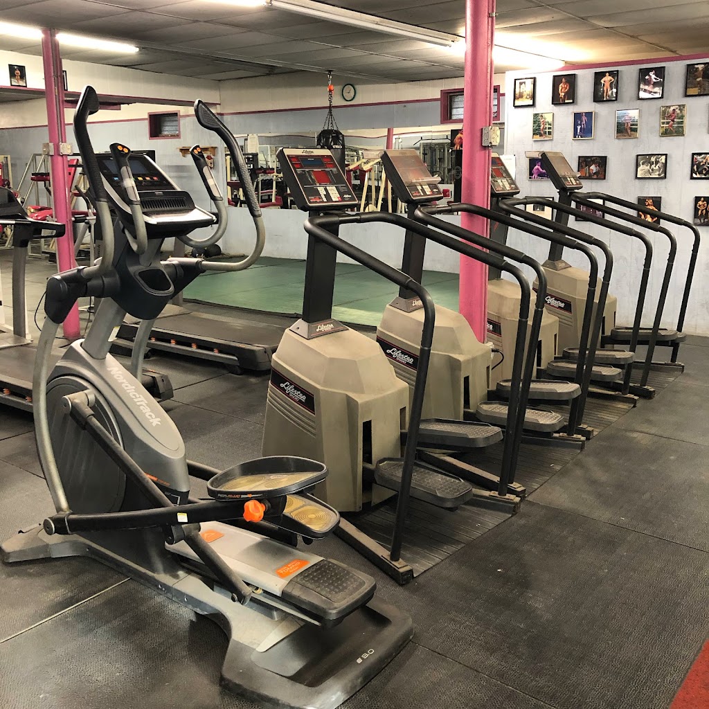  Hammer Forged Fitness