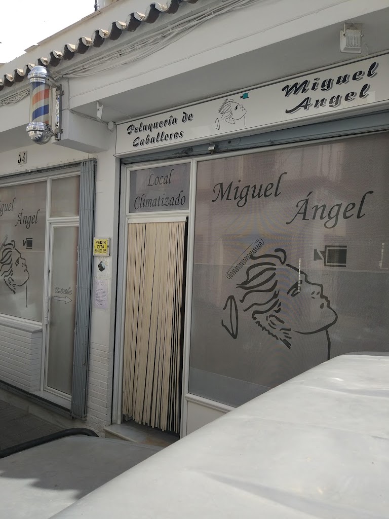 Miguel Angel — Del propietario