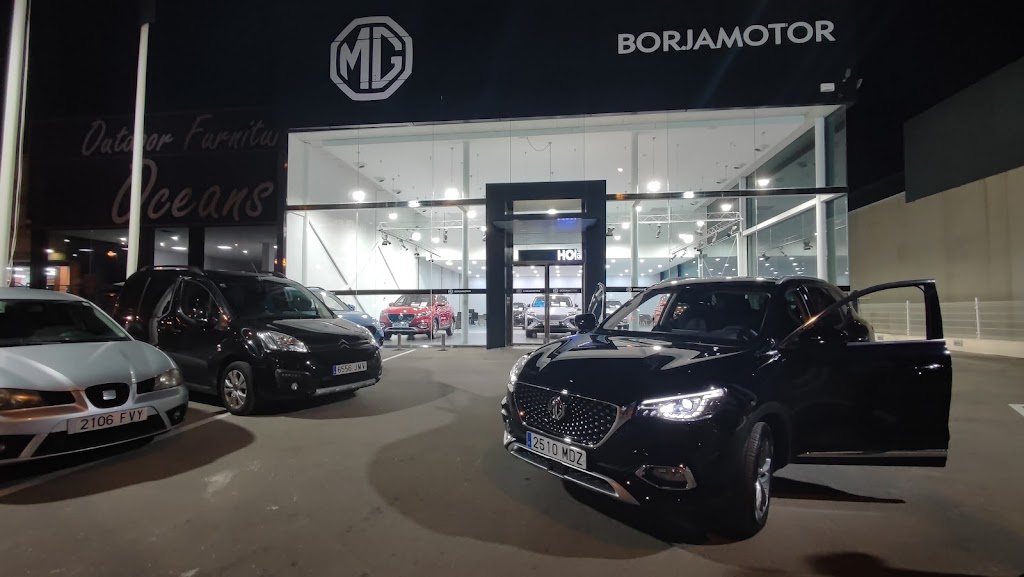 MG Borjamotor Benidorm — Todas