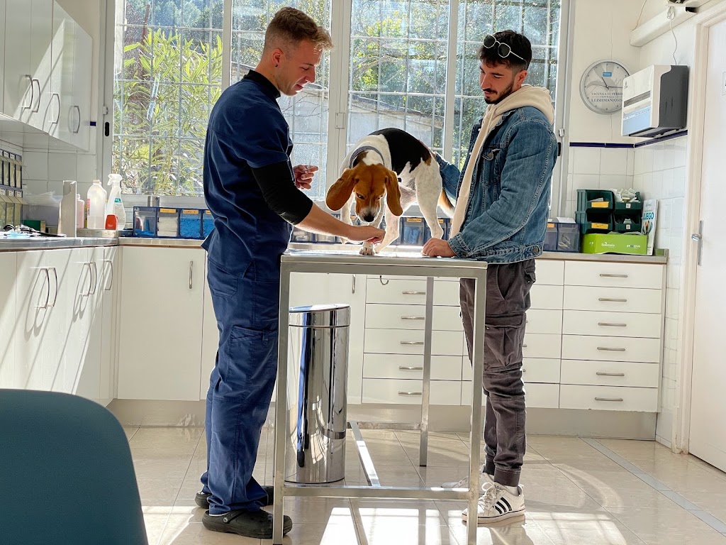 Clinica Veterinaria Parc Felanitx — Del propietario