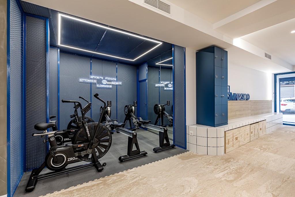 ELGIMNASIO(c) — Ejercicio fisico