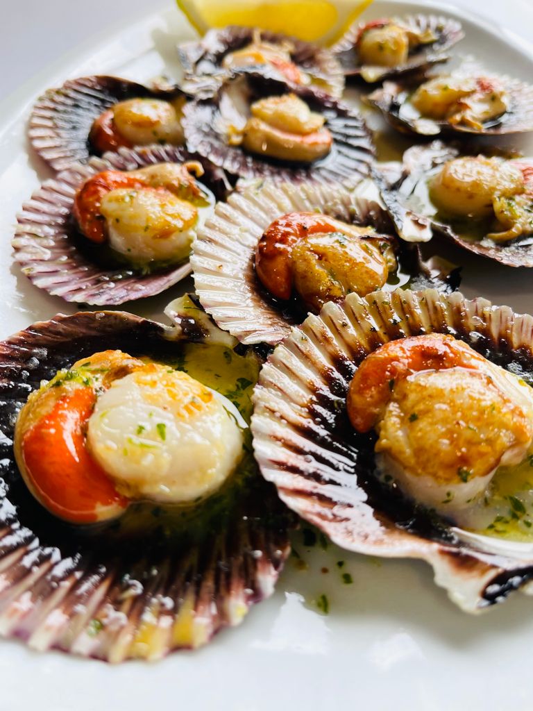 Restaurante Compostela — Pectinidae