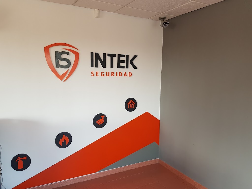 Intek Seguridad