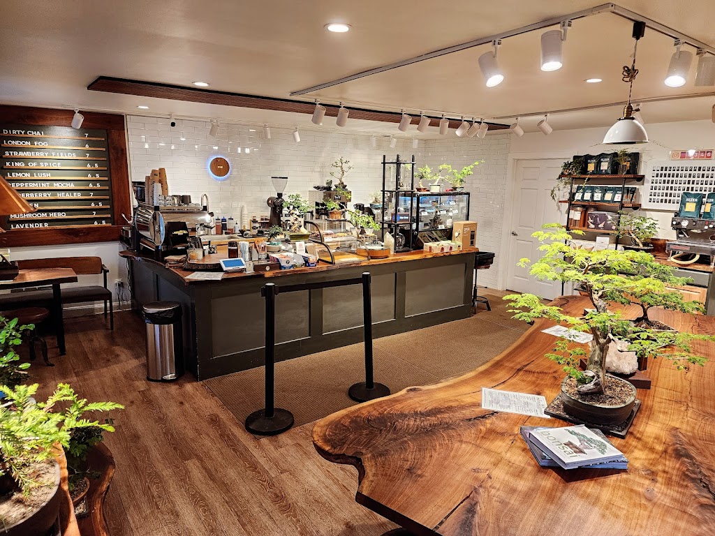Photo of Amsterdam Coffee Bar