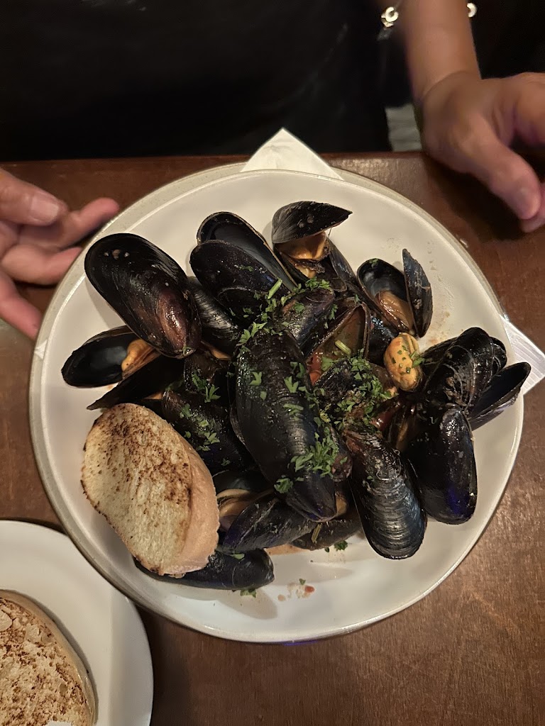 Mussels