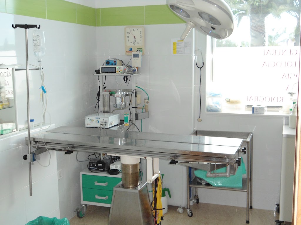 Cliper's Clinica Veterinaria — Del propietario