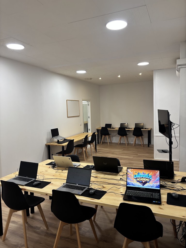 Undarius | Academia de Tecnologia i Extraescolars a Palamos