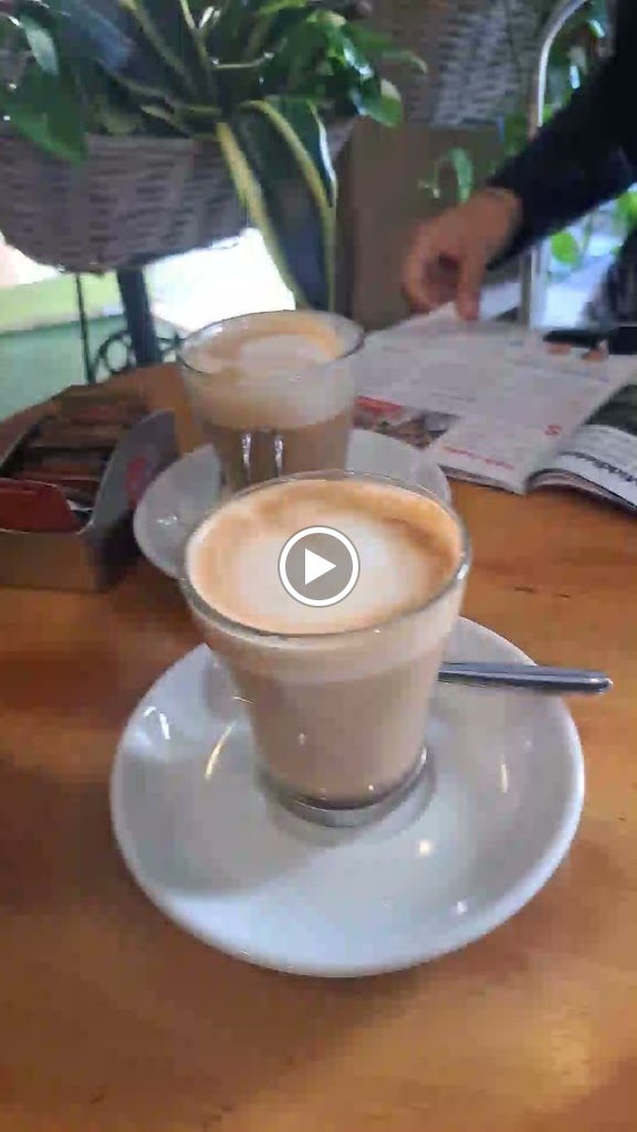 Can Kiwi — Videos