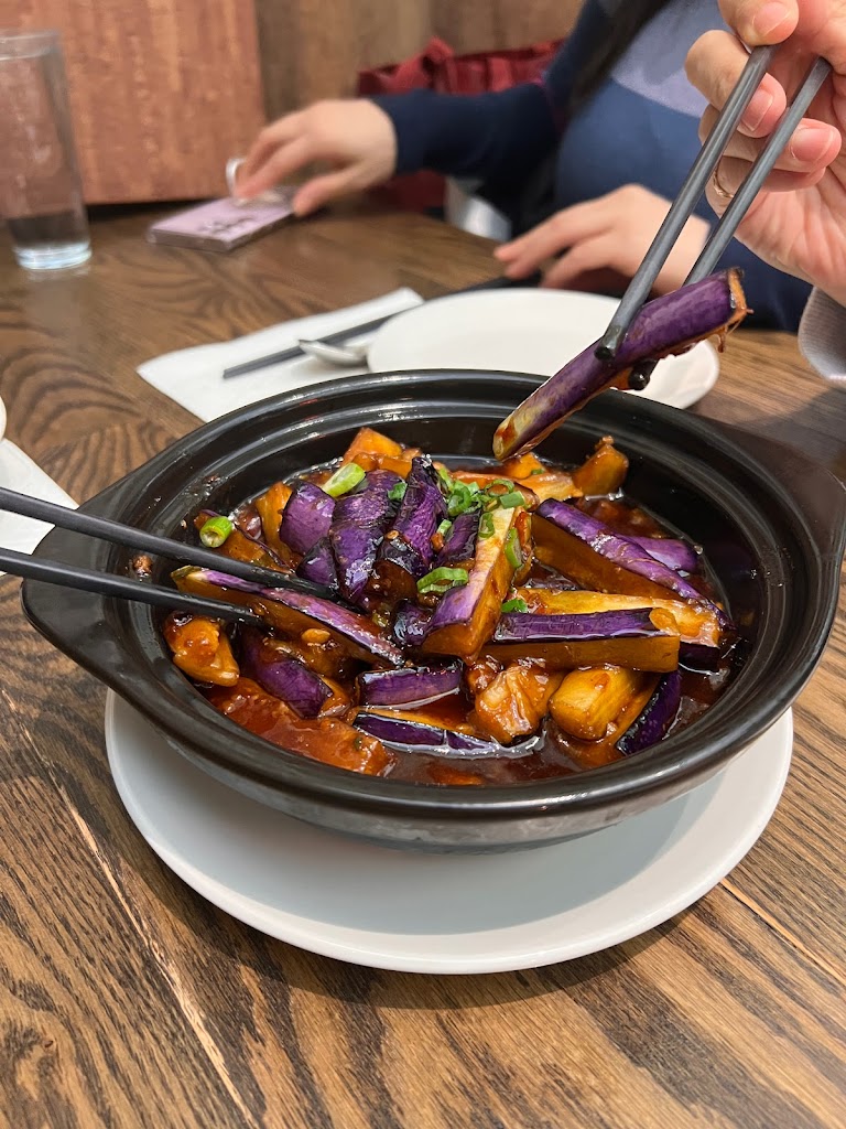 Aubergine