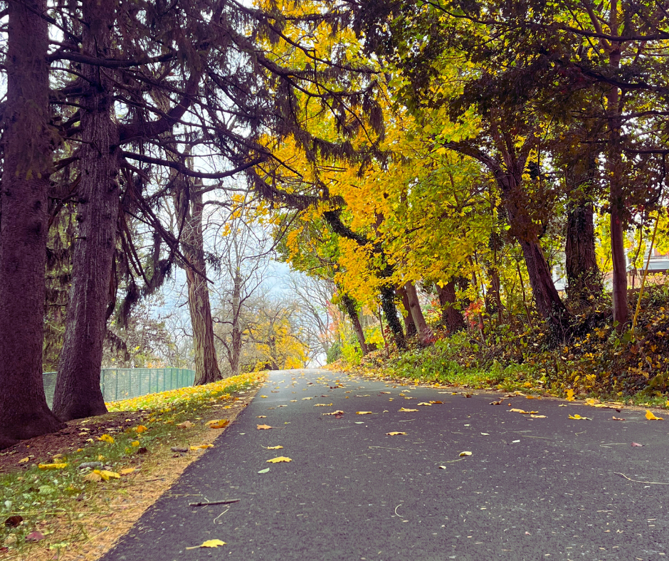  RISE Yoga Gettysburg