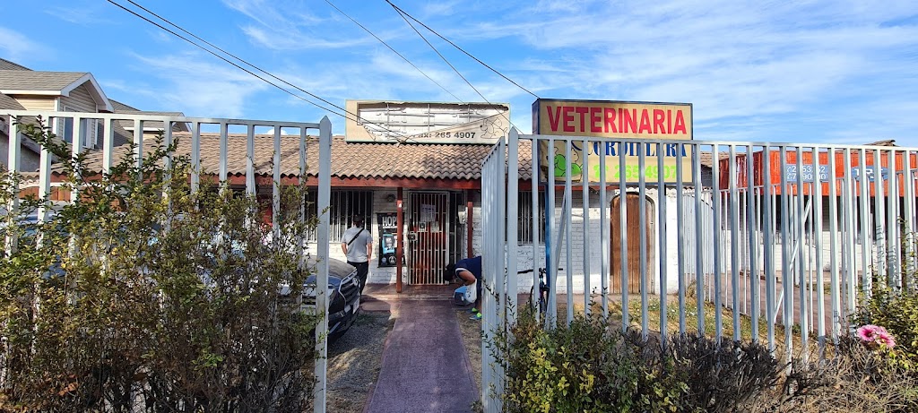 Food Pets - Alimento y Accesorios Para Mascotas en Puente-Alto