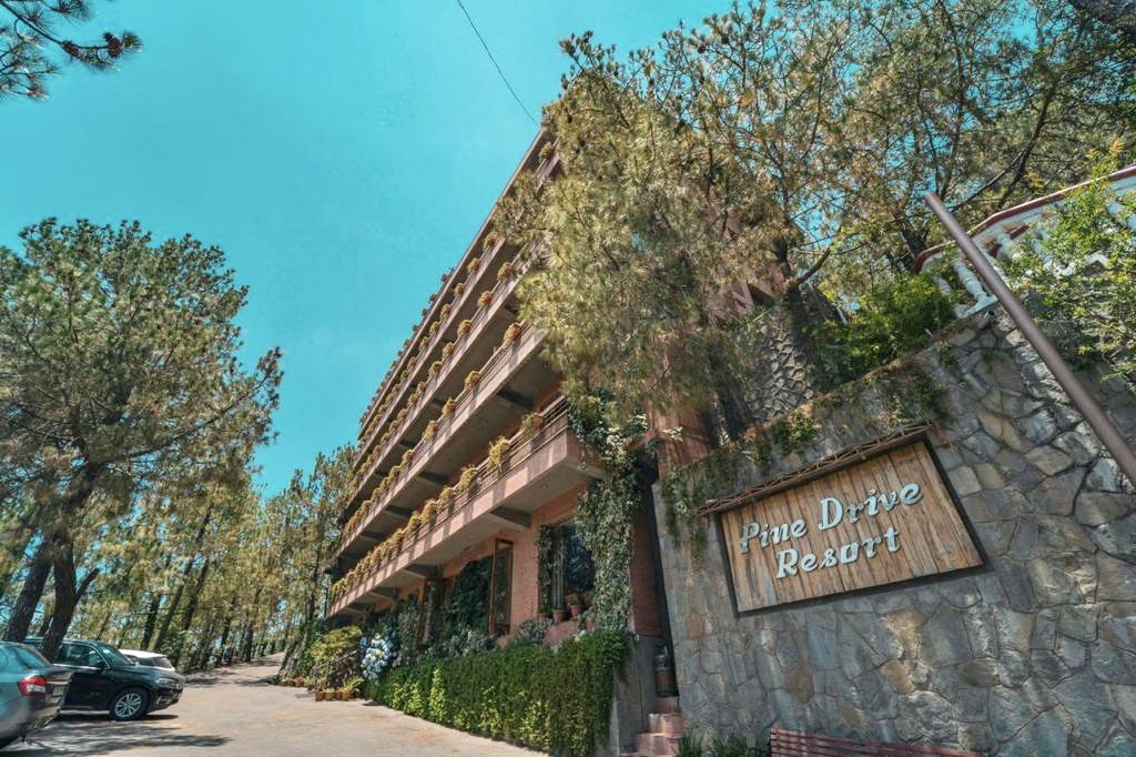 Pine Drive Resort