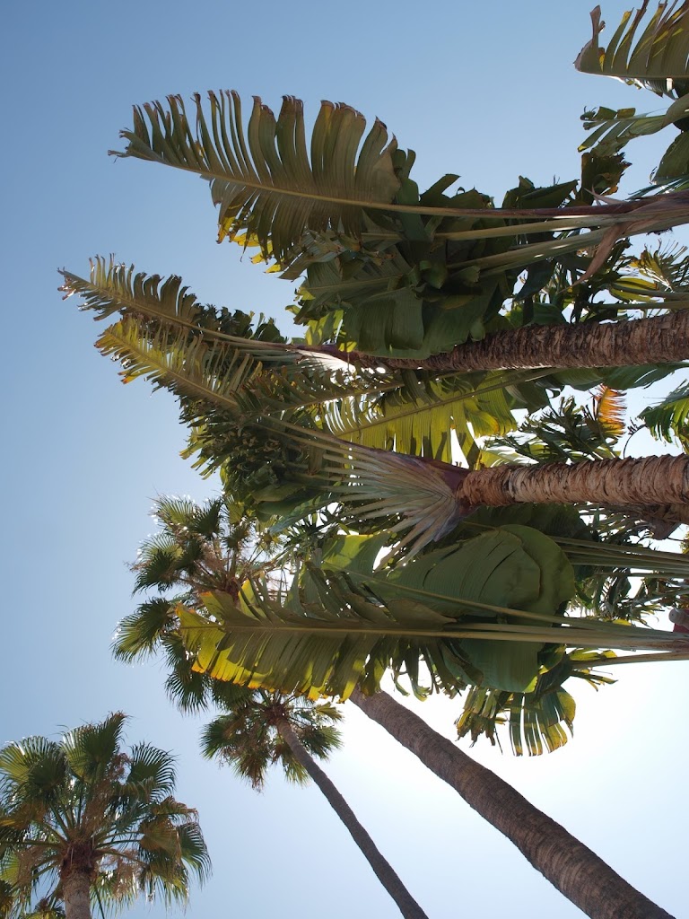 Edificio Paraiso Apartments, Playa de Mogan