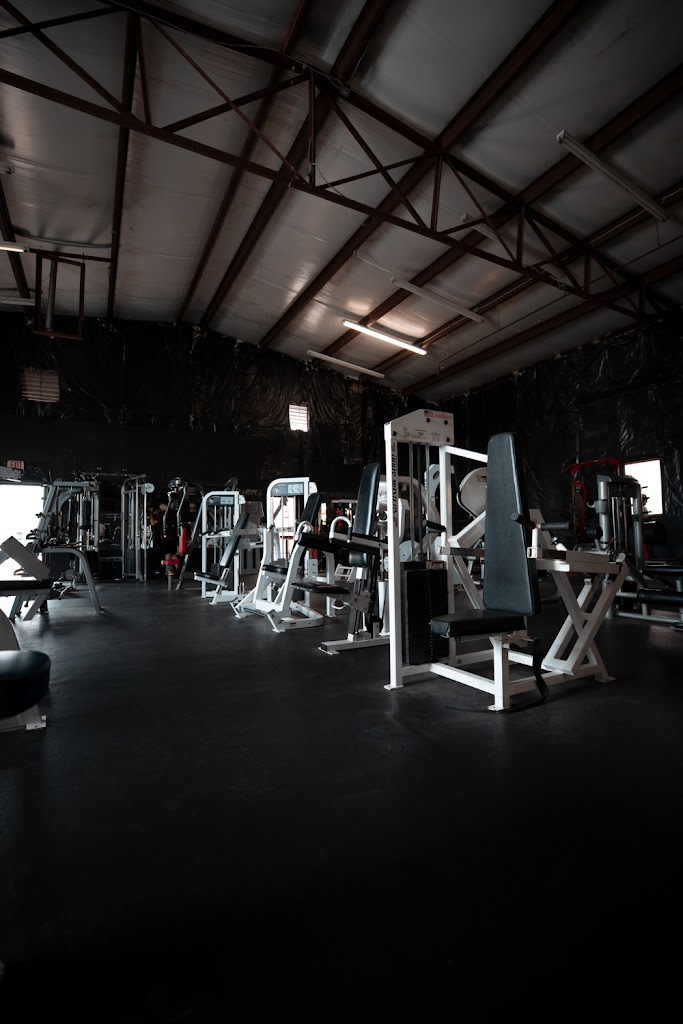  Muscle Minded Iron Gym