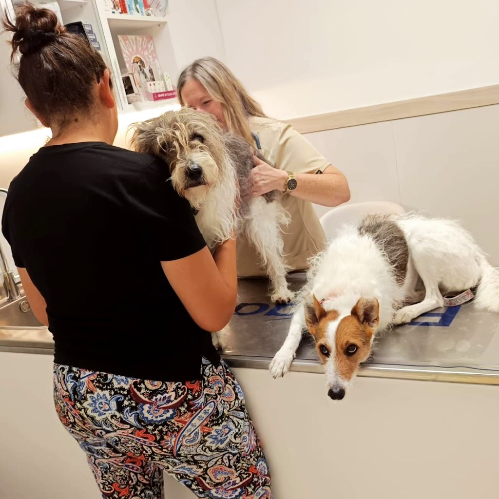 Centro Veterinario VETERIS Sitges — Perro