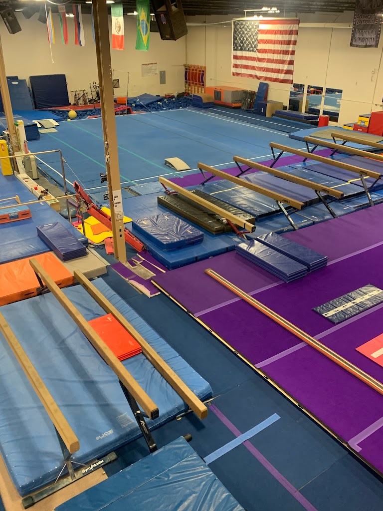  TIGAR Gymnastics