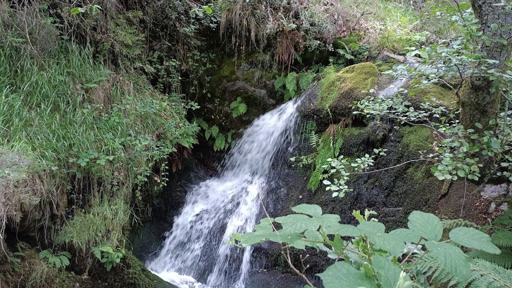 Ruta Cascadas Quintana de Fuseros