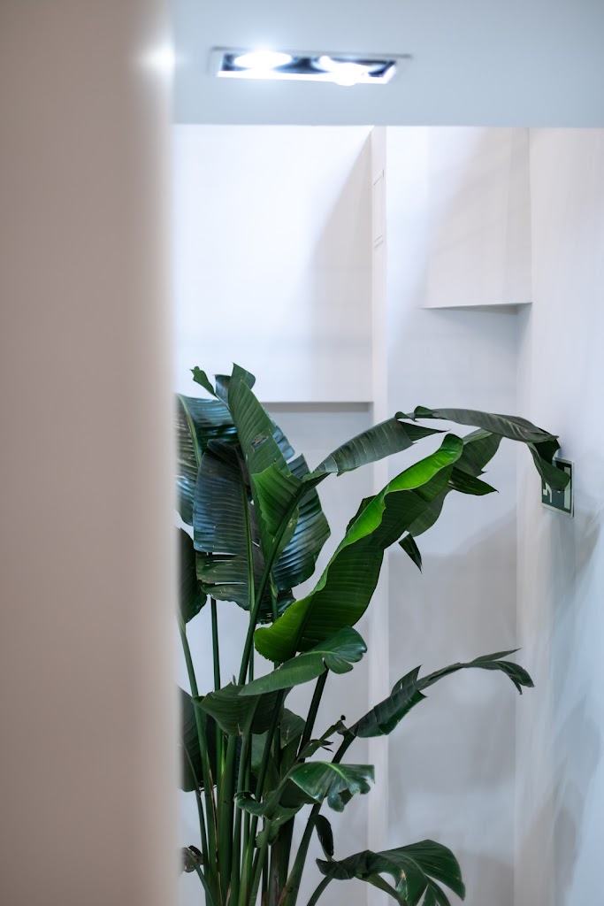 HALO Donostia - Centro de enfermeria especializado en estetica avanzada