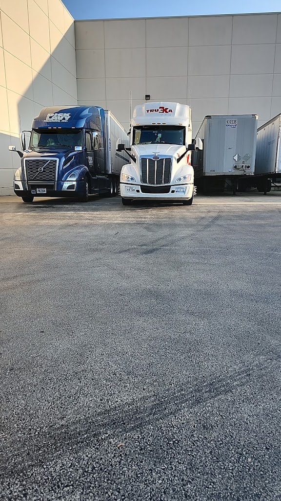 ZF