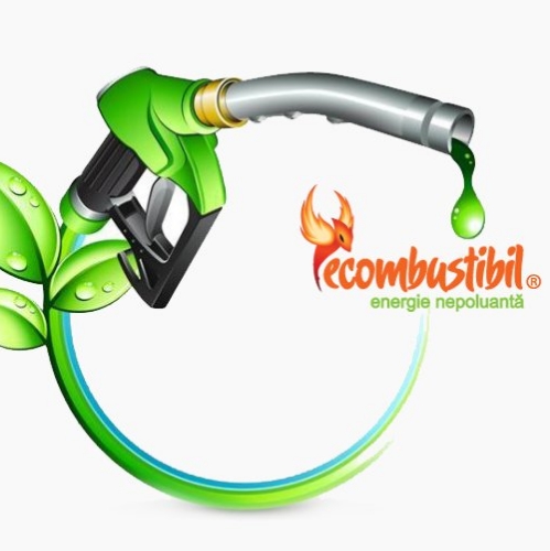 eCombustibil Peco Blejoi — Surtidor de combustible