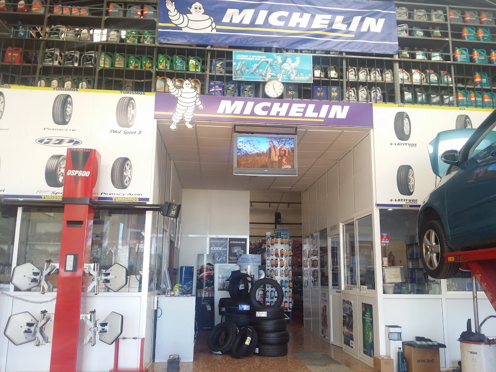 Neumaticos Michelin Francisco Paradela Fornell — Interior
