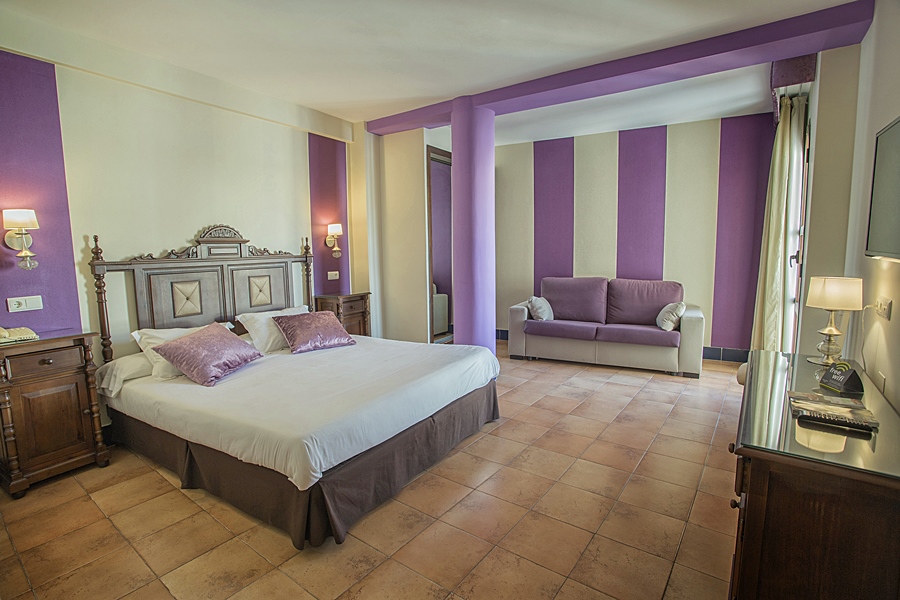 Hotel Rosaleda de Don Pedro — Habitaciones