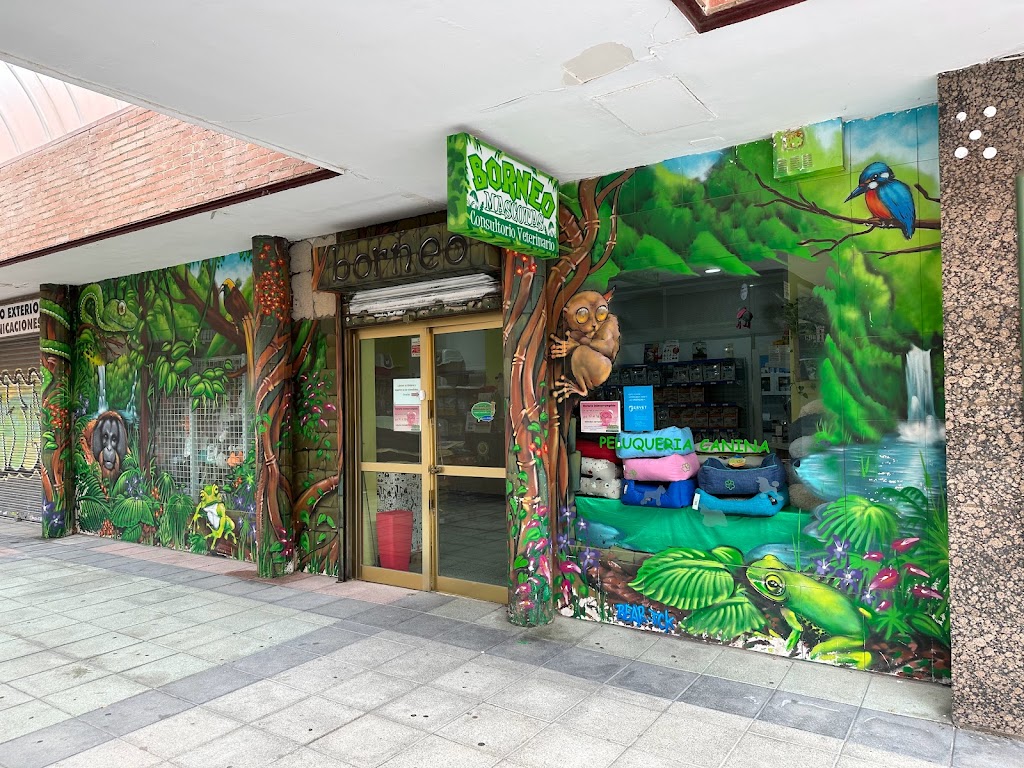 Mascotas Borneo
